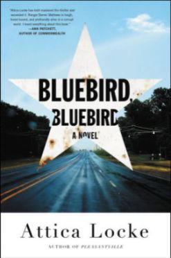 BluebirdBluebird